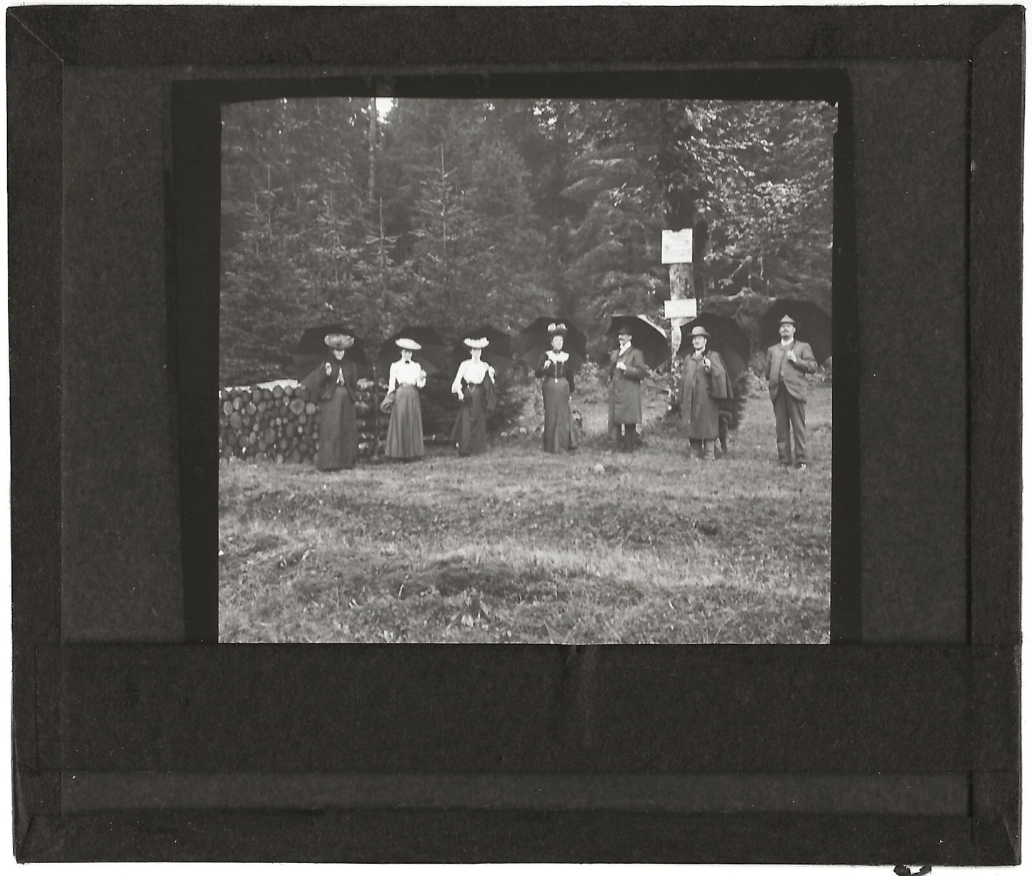 Femmes robe, nature, Gérardmer, Vosges, photo plaque de verre, positif 8,5x10 cm