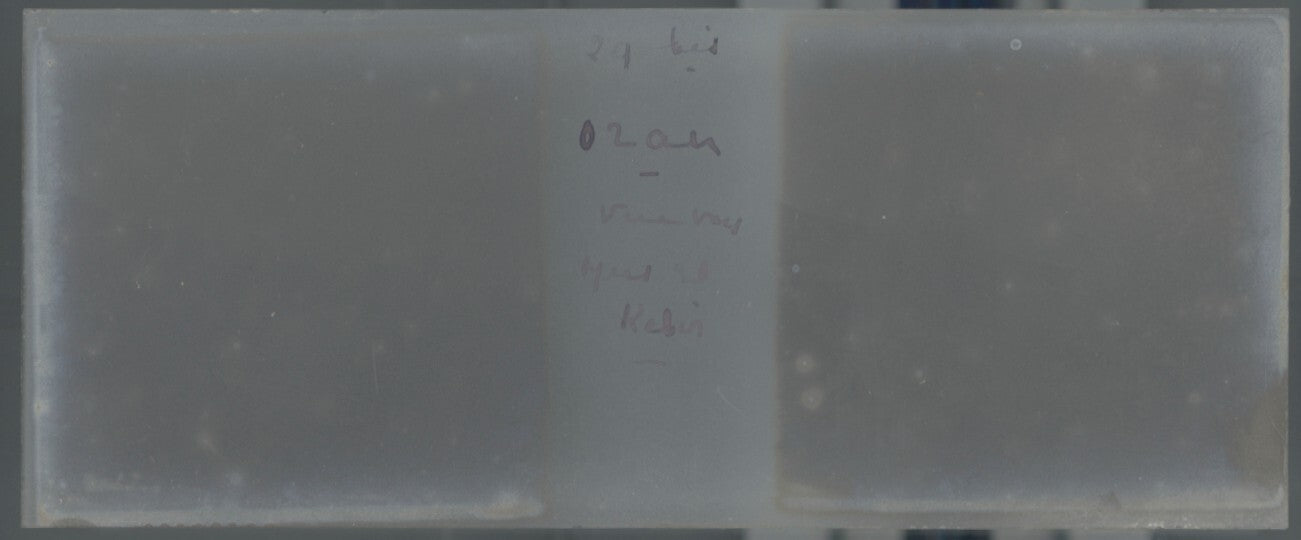 Oran, Algérie, Plaque verre stéréoscopie, positif noir & blanc 4,5x10,7 cm