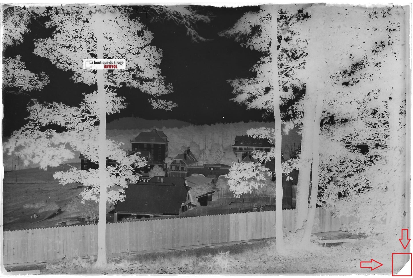 Trois-Épis, France, Plaque verre photo ancienne, négatif noir & blanc 10x15 cm