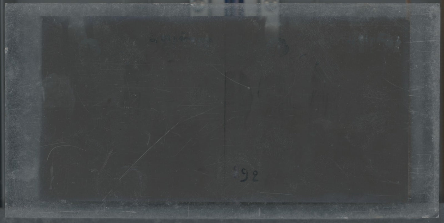 Hippodrome de Longchamp, Paris, plaque verre stéréoscopique, positif 8,5x17 cm