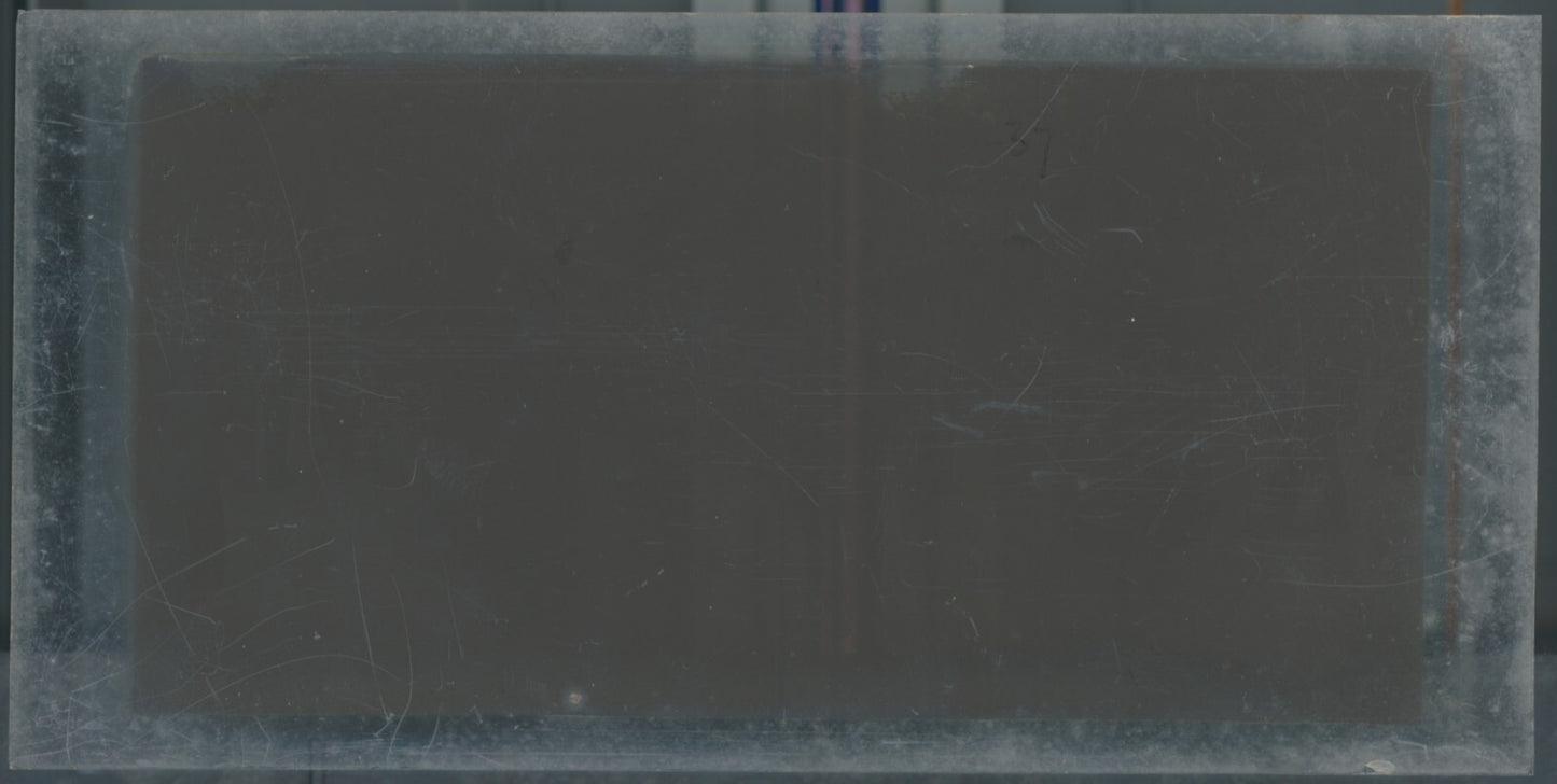 Personnages, Longchamp, Paris, plaque verre stéréoscopique, positif 8,5x17 cm