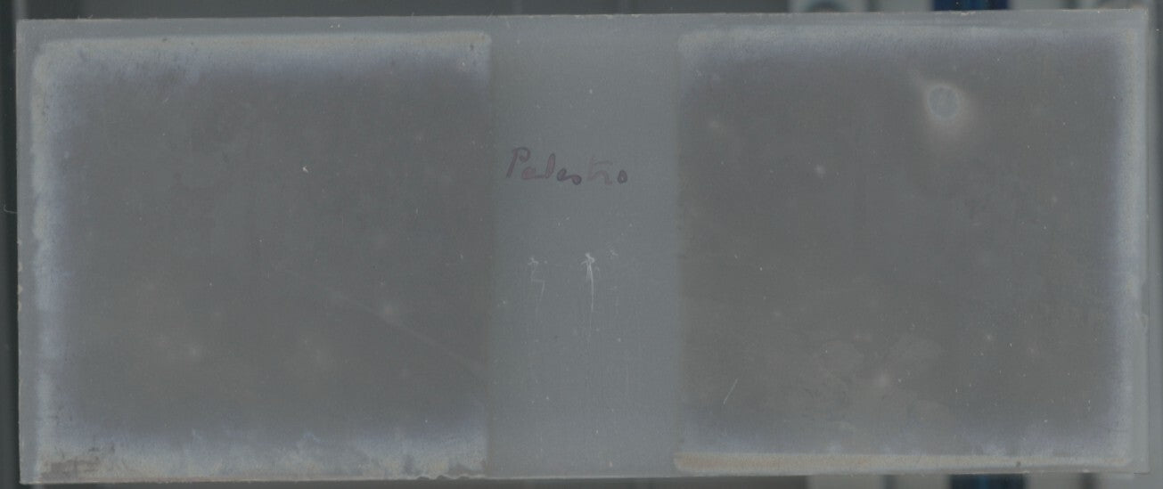 Gorges Palestro Algérie, Plaque verre stéréo, positif noir & blanc 4,5x10,7 cm