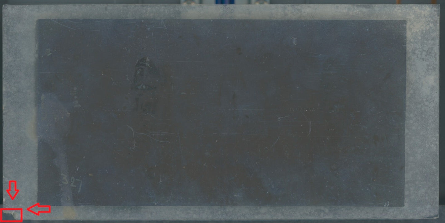 Scène de vie, Longchamp, Paris, plaque verre stéréoscopique, positif 8,5x17 cm