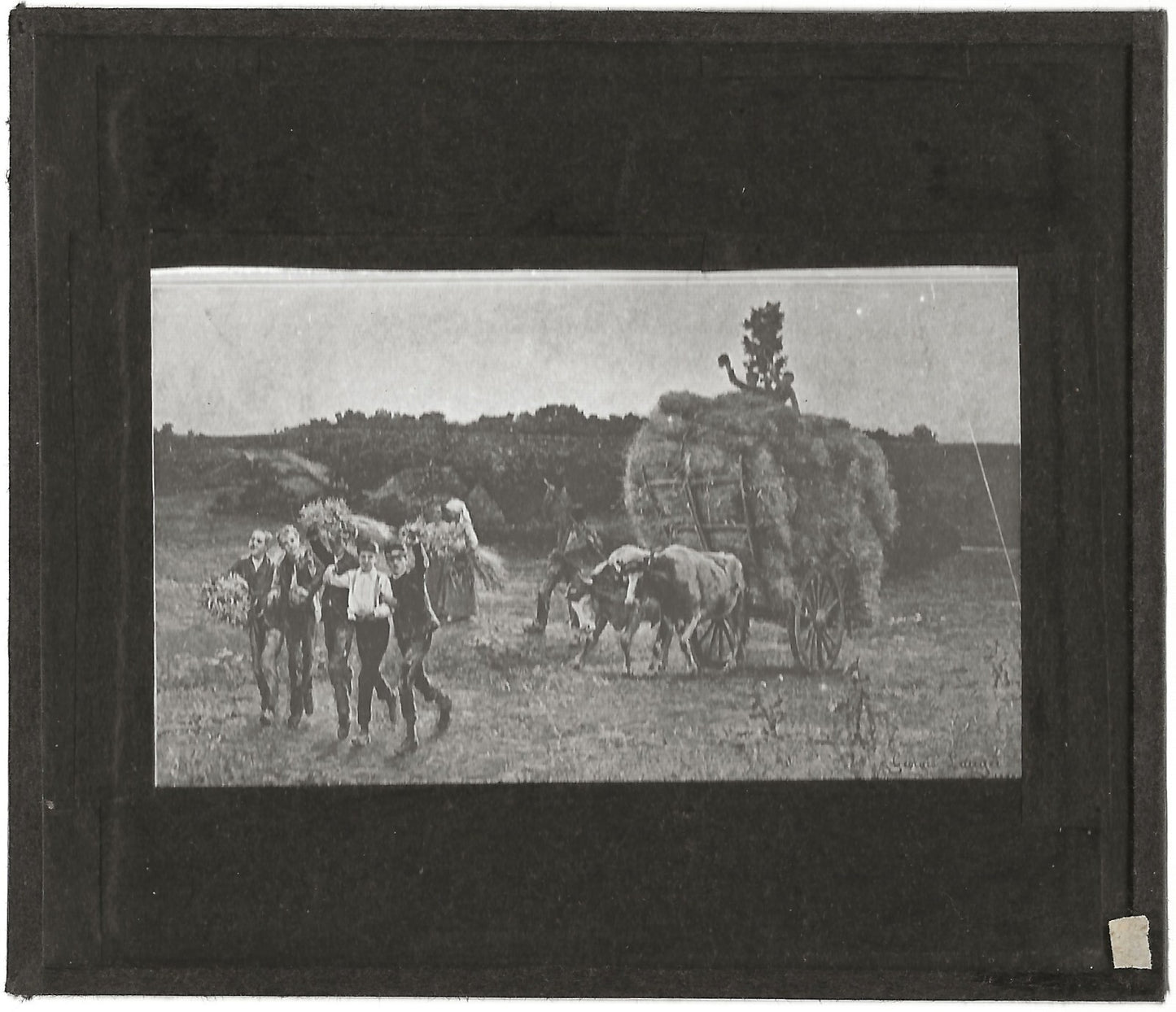 Moissonneurs, campagne dessin,photo ancienne plaque de verre, positif 8,5x10 cm