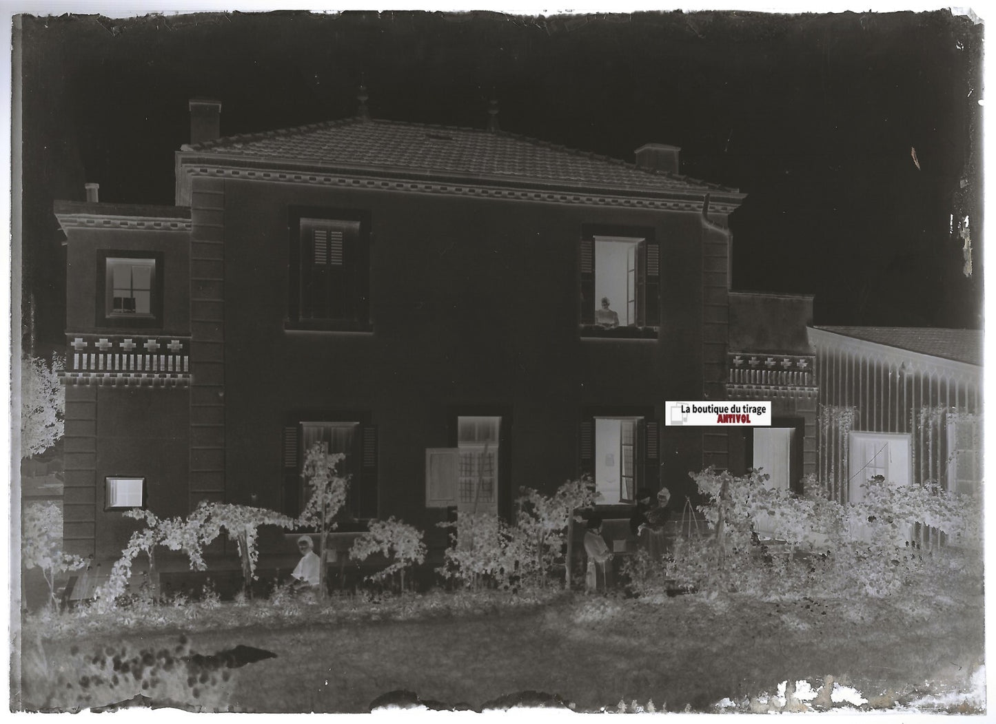 Maison, jardin, Plaque verre photo ancienne, négatif noir & blanc 13x18 cm