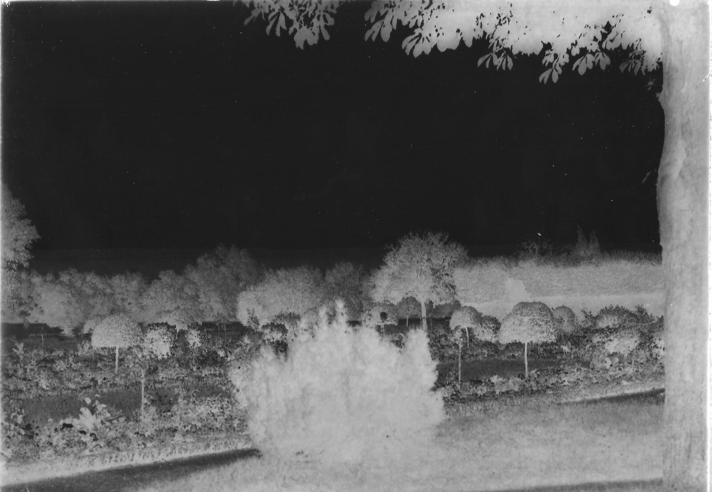 Plaque verre photo ancienne négatif 13x18 cm paysage jardin arbres, château