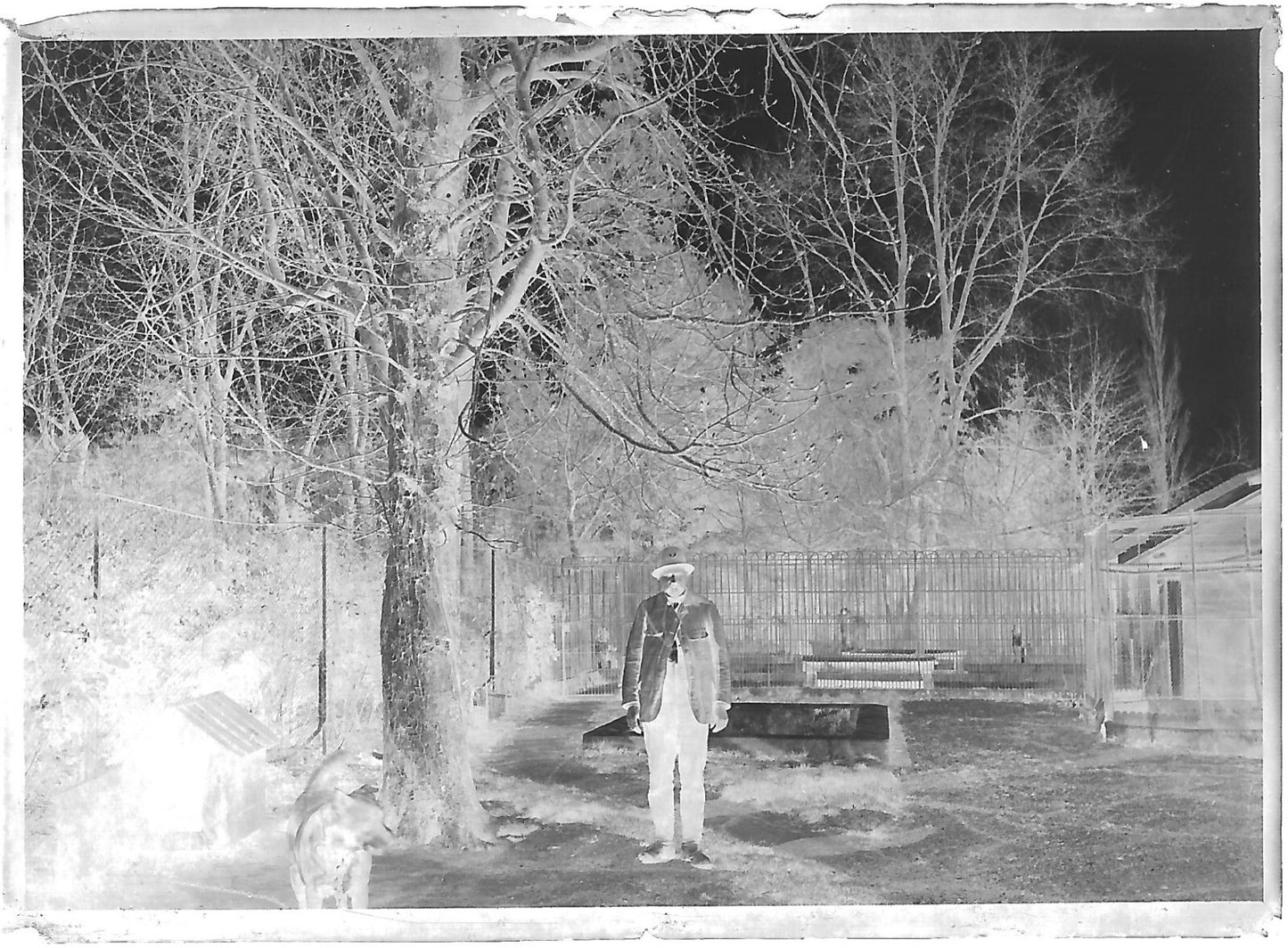 Plaque verre photo ancienne négatif noir et blanc 6x9 cm homme chenil chien