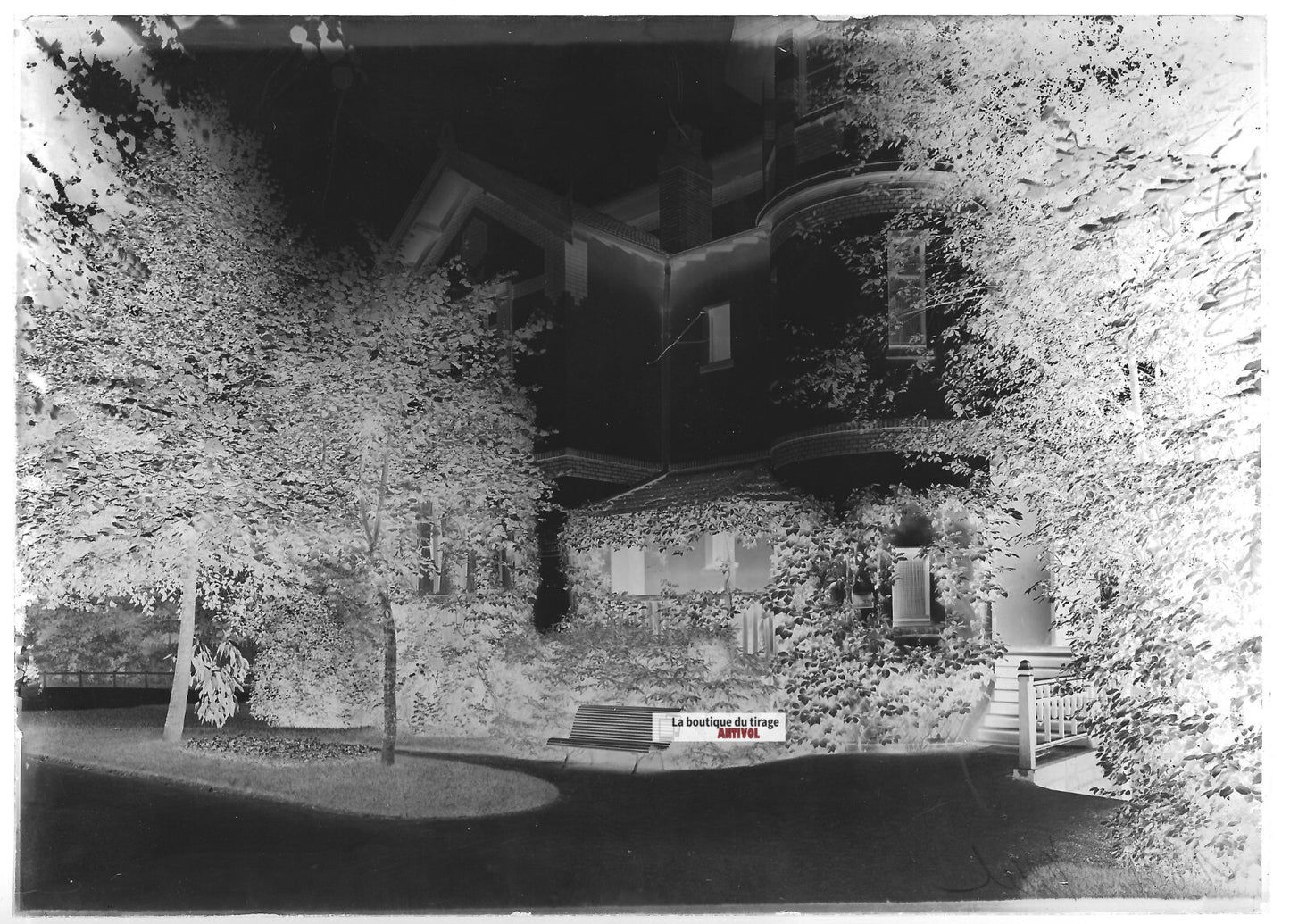 Plaque verre photo ancienne négatif noir et blanc 13x18 cm Vittel maison vintage