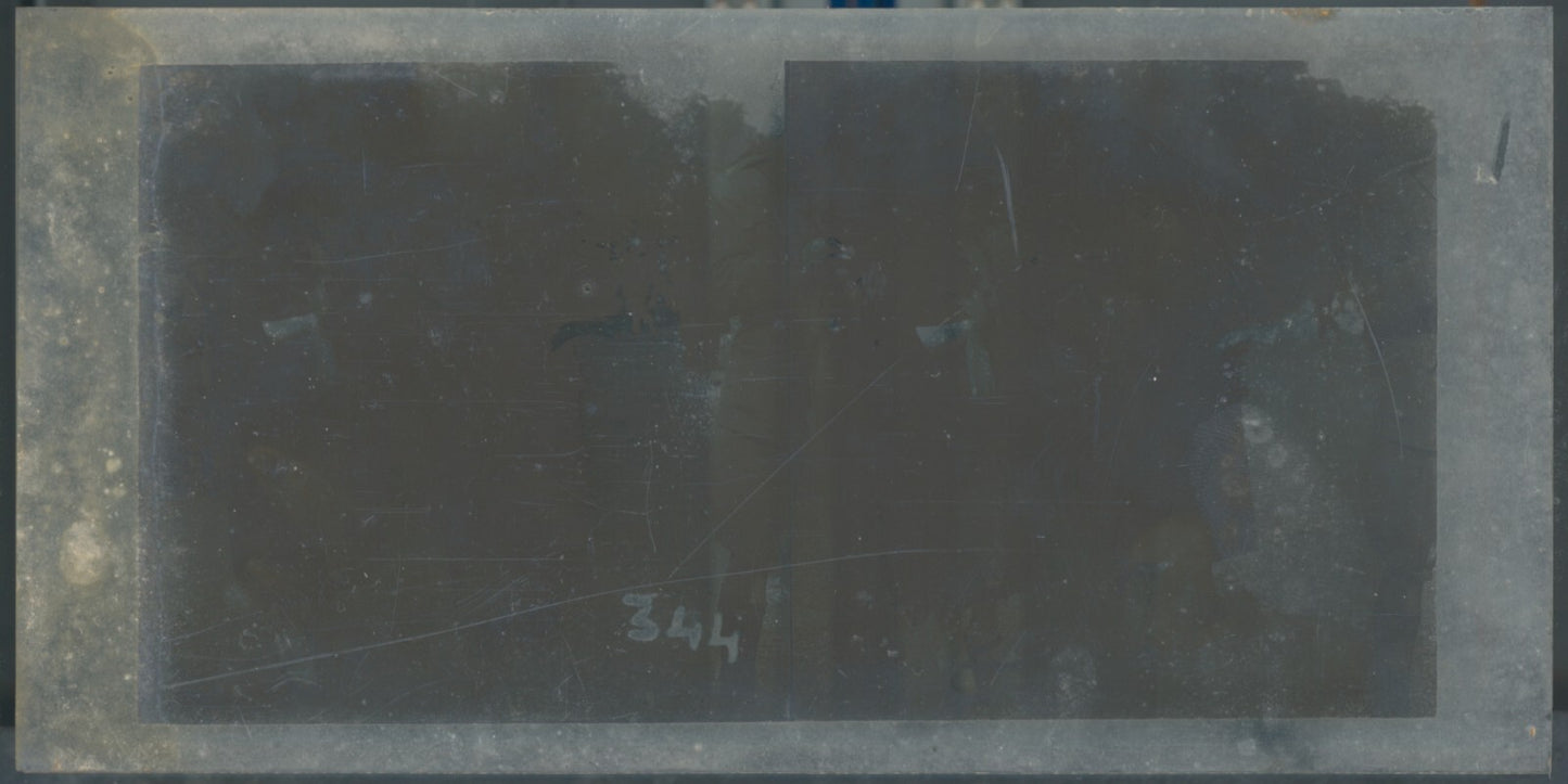 Jour de course, Longchamp, Paris, plaque verre stéréoscopique, positif 8,5x17 cm