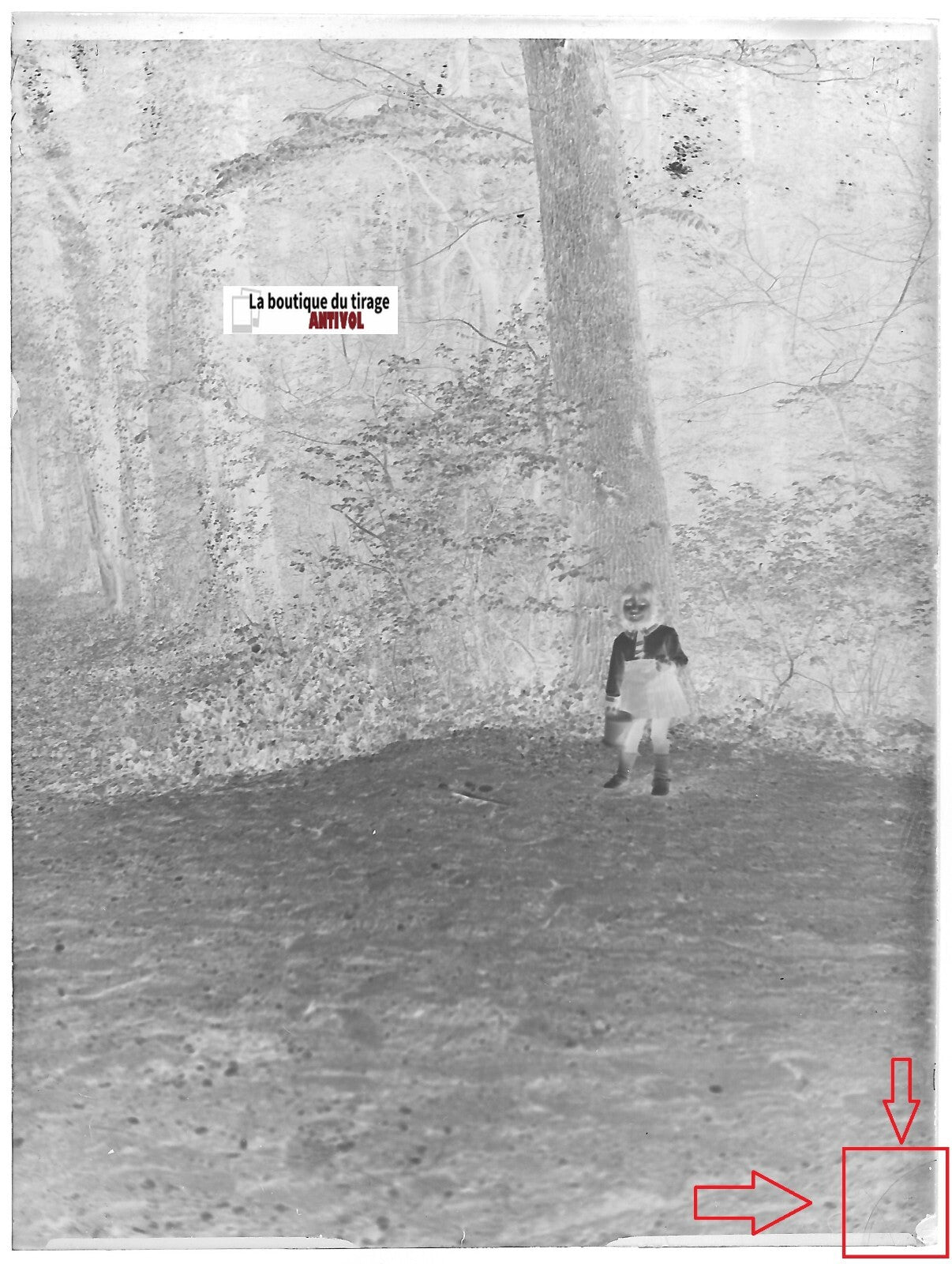 Jeune fille, bois, plaque verre photo ancienne, négatif noir & blanc 9x12 cm