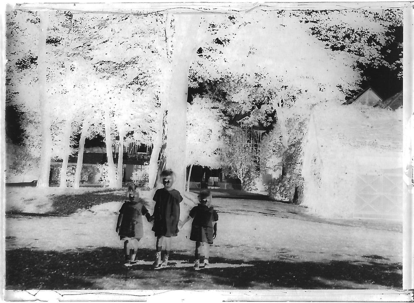 Plaque verre photo ancienne négatif 6x9 cm enfants petites filles, vintage