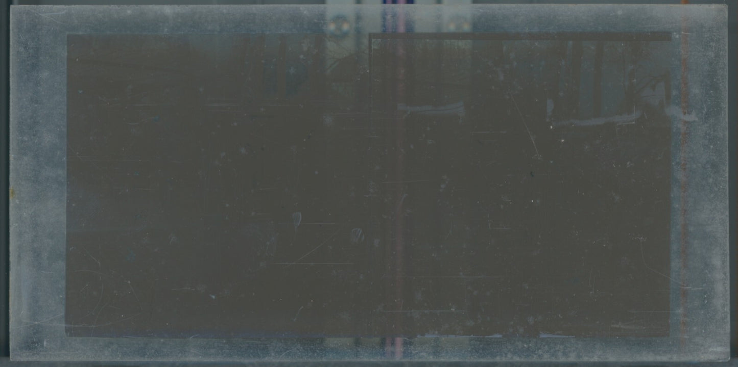 Scène de vie, Longchamp, Paris, plaque verre stéréoscopique, positif 8,5x17 cm