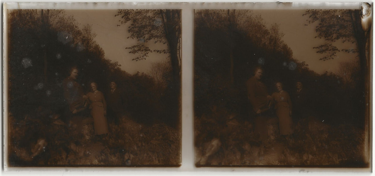 Campagne, Plaque verre photo ancienne stéréo, positif noir & blanc 6x13 cm
