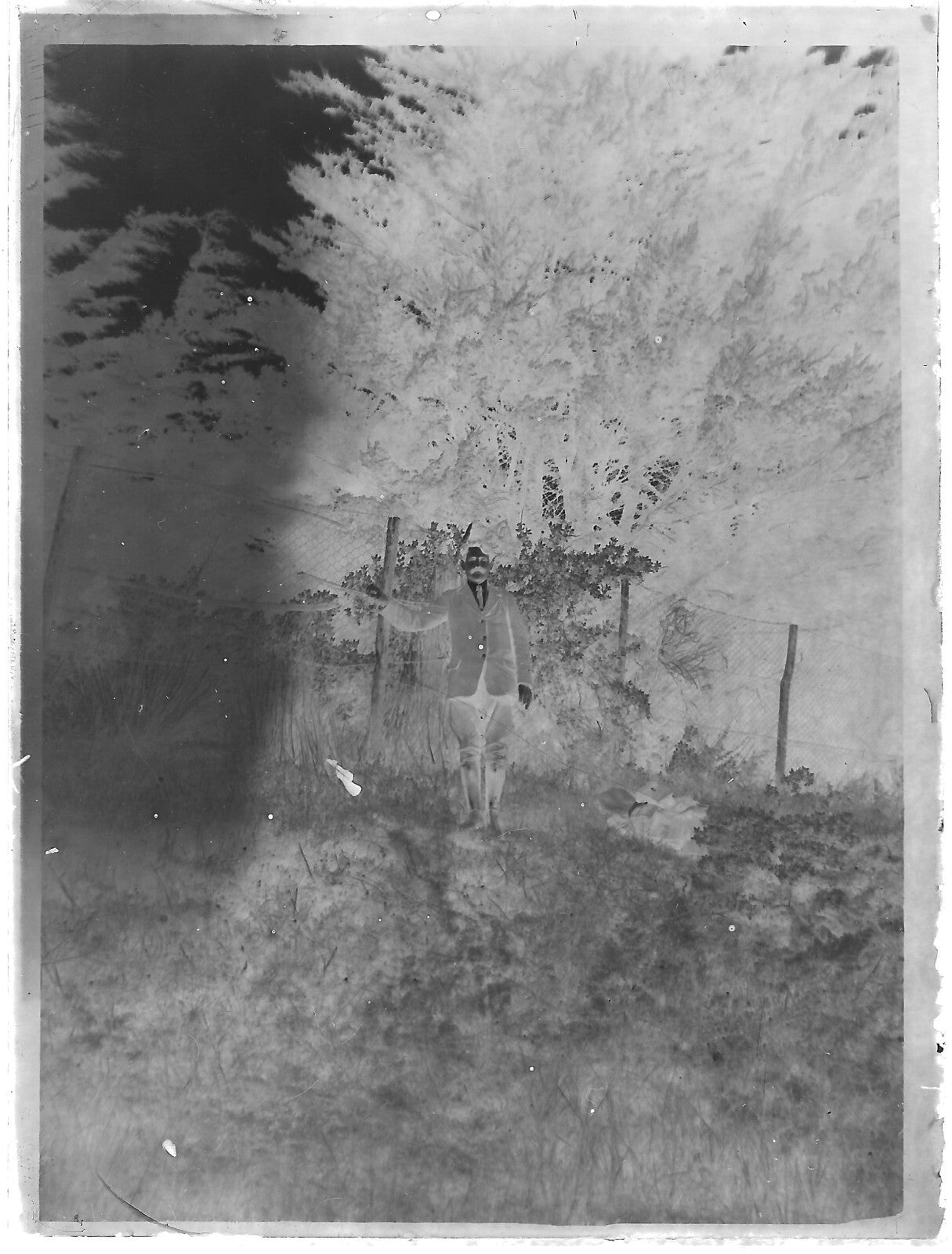 Plaque verre photo ancienne noir et blanc négatif 9x12 cm homme nature glass
