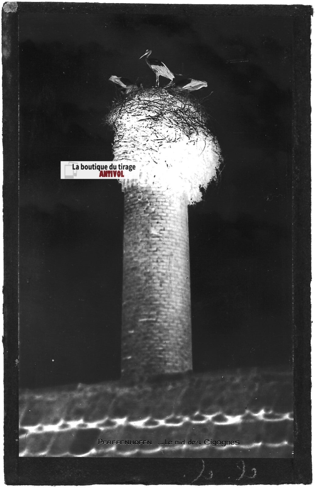 Plaque verre photo, négatif noir & blanc 9x14 cm, Pfaffenhoffen, nid cigognes