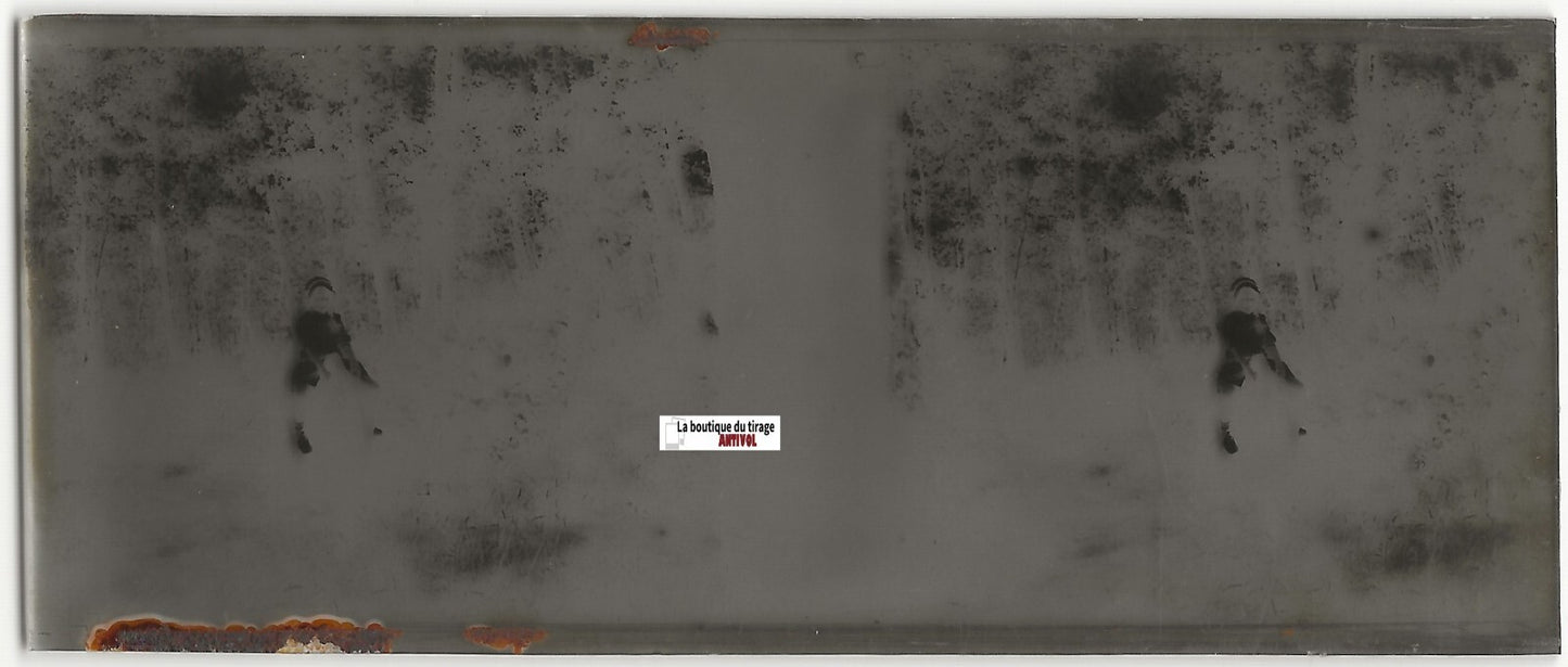 Fillette, cheval, Plaque verre photo stéréo, négatif noir & blanc 4,5x10,7 cm