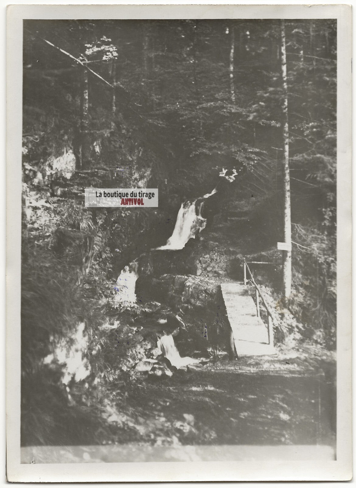 Plaque verre photo ancienne négatif noir et blanc 13x18 cm Gérardmer Roitelets