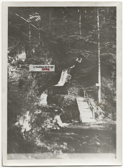 Plaque verre photo ancienne négatif noir et blanc 13x18 cm Gérardmer Roitelets