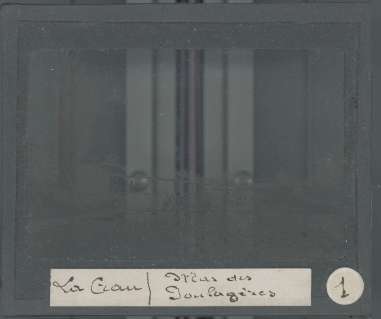 Haras des Poulagères, La Crau, photo ancienne plaque verre, positif 8,5x10 cm