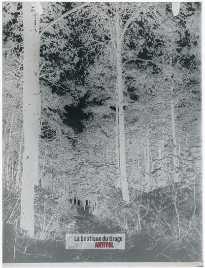 Hiver en forêt, montagne, plaque verre, photo ancienne, négatif 9x12 cm