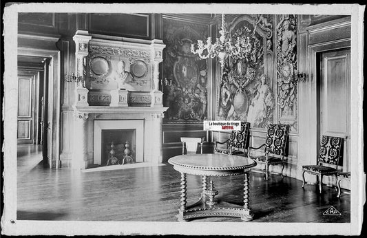 Plaque verre photo vintage, négatif noir & blanc 9x14 cm, château de Pau, salon