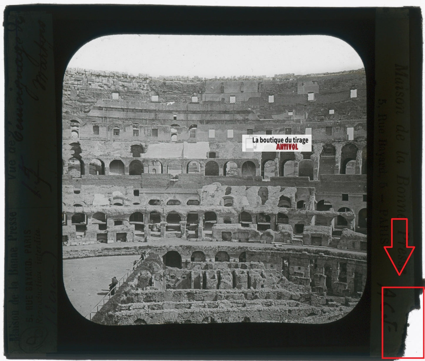 Colisée, Rome, Italie, photo plaque verre, noir & blanc, positif 8,5x10 cm