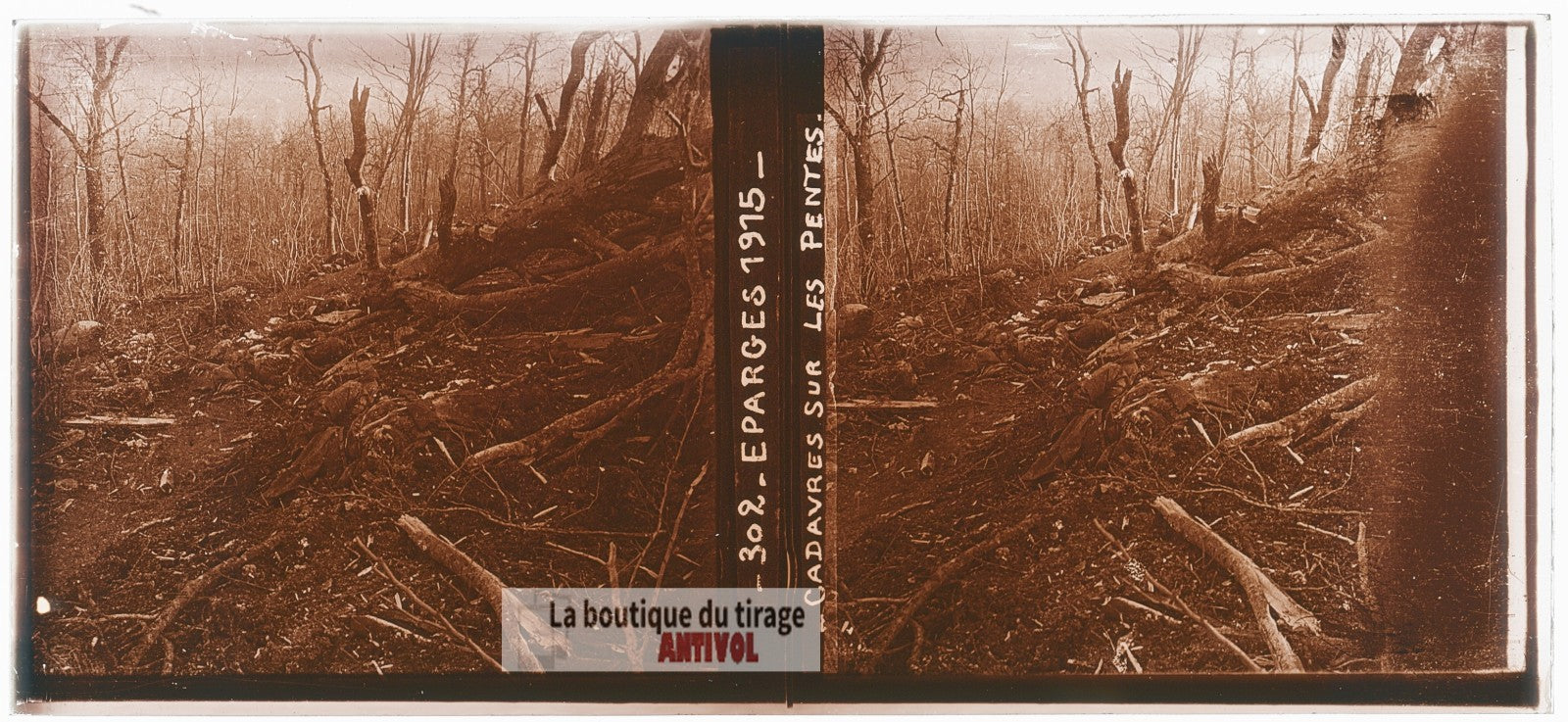 Éparges, 1915, cadavres, WW1, plaque verre photo ancienne stéréo 6x13 cm