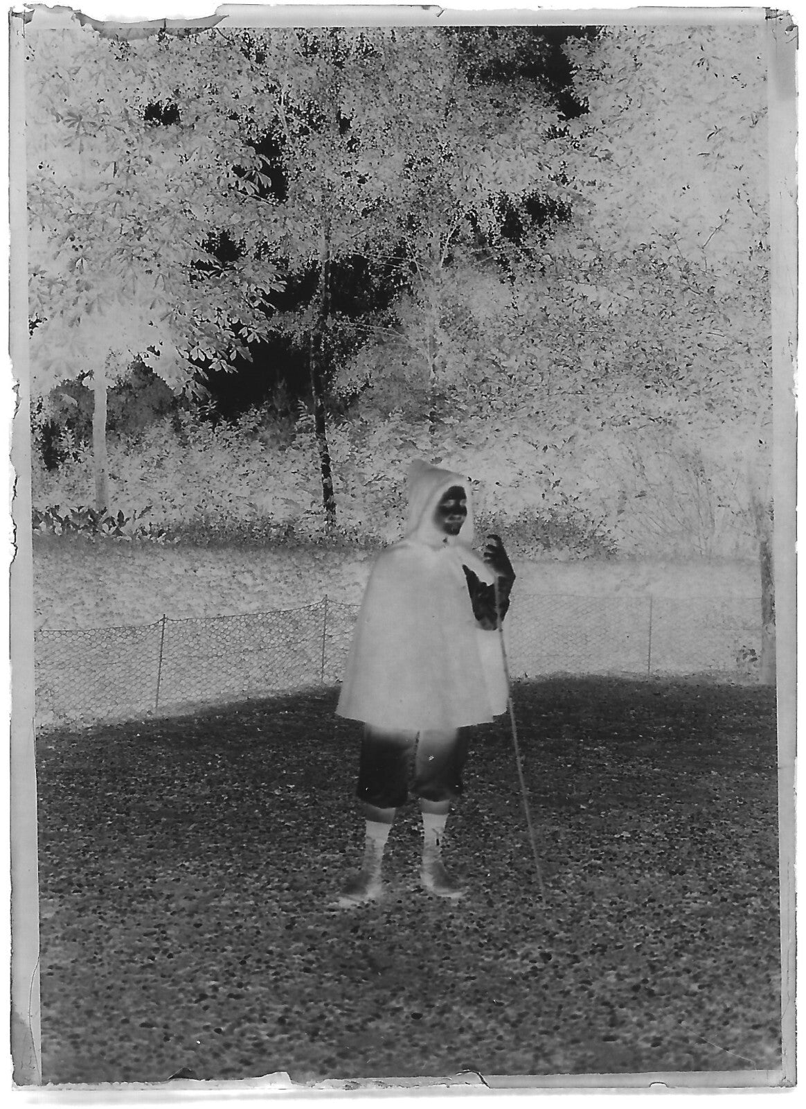 Plaque verre photo négatif noir et blanc 6x9 cm enfant France glass plate 