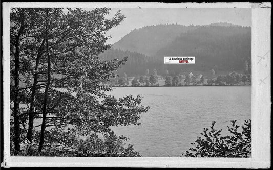 Plaque verre photo, négatif noir & blanc 9x14 cm, lac de Longemer, Vosges