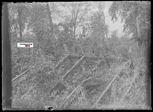 Barrière, nature, Plaque verre photo ancienne, négatif noir & blanc 6x9 cm