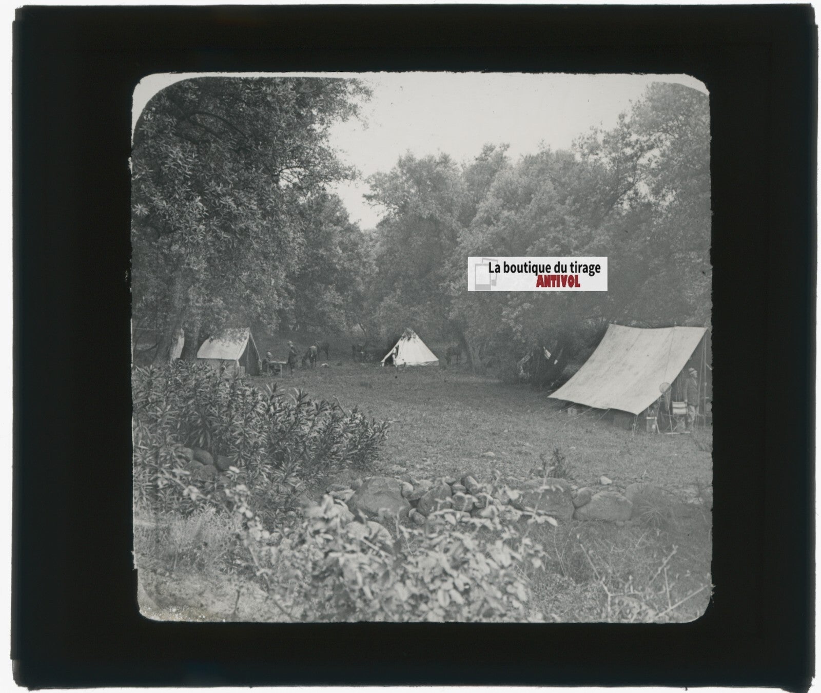 Campement, tente, nature, photo ancienne plaque de verre, positif 8,5x10 cm