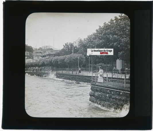 Suisse, lac Léman, photo plaque verre, noir & blanc, positif 8,5x10 cm
