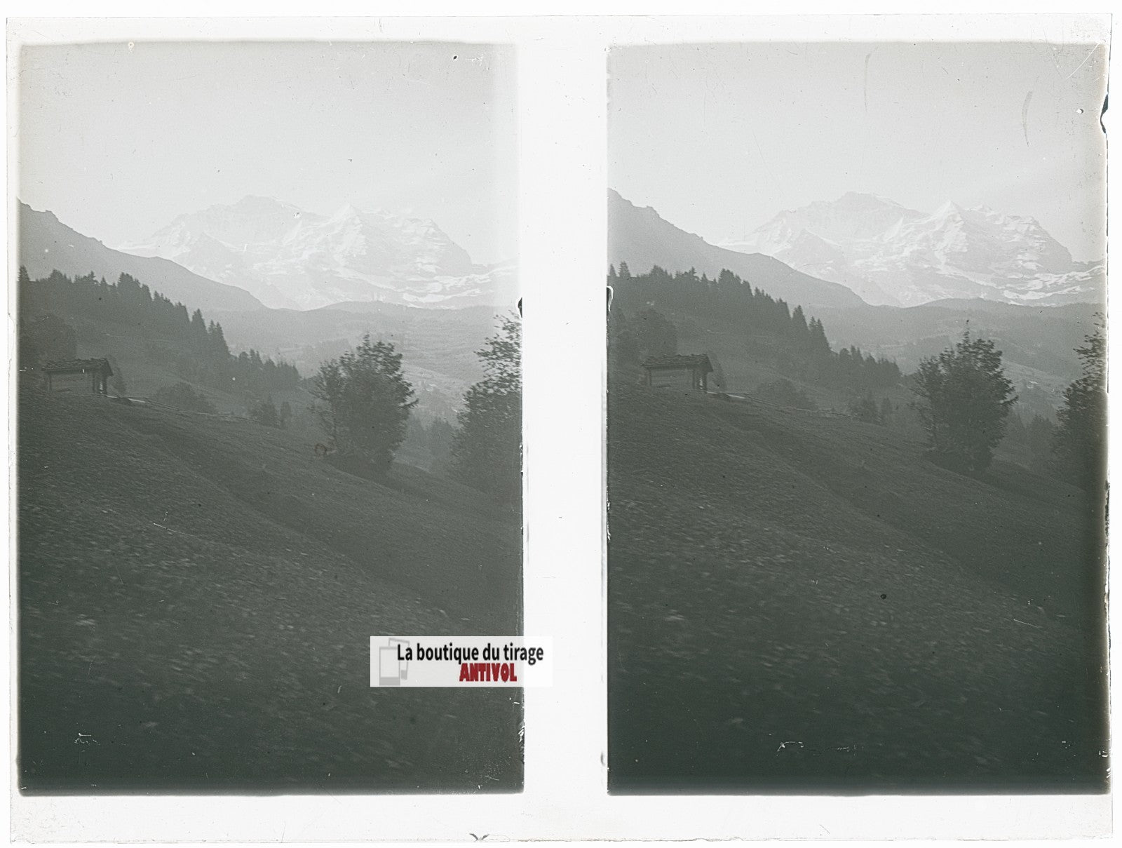 Paysages, Alpes Suisse, stéréo photo plaque verre, noir & blanc, 9x12 cm