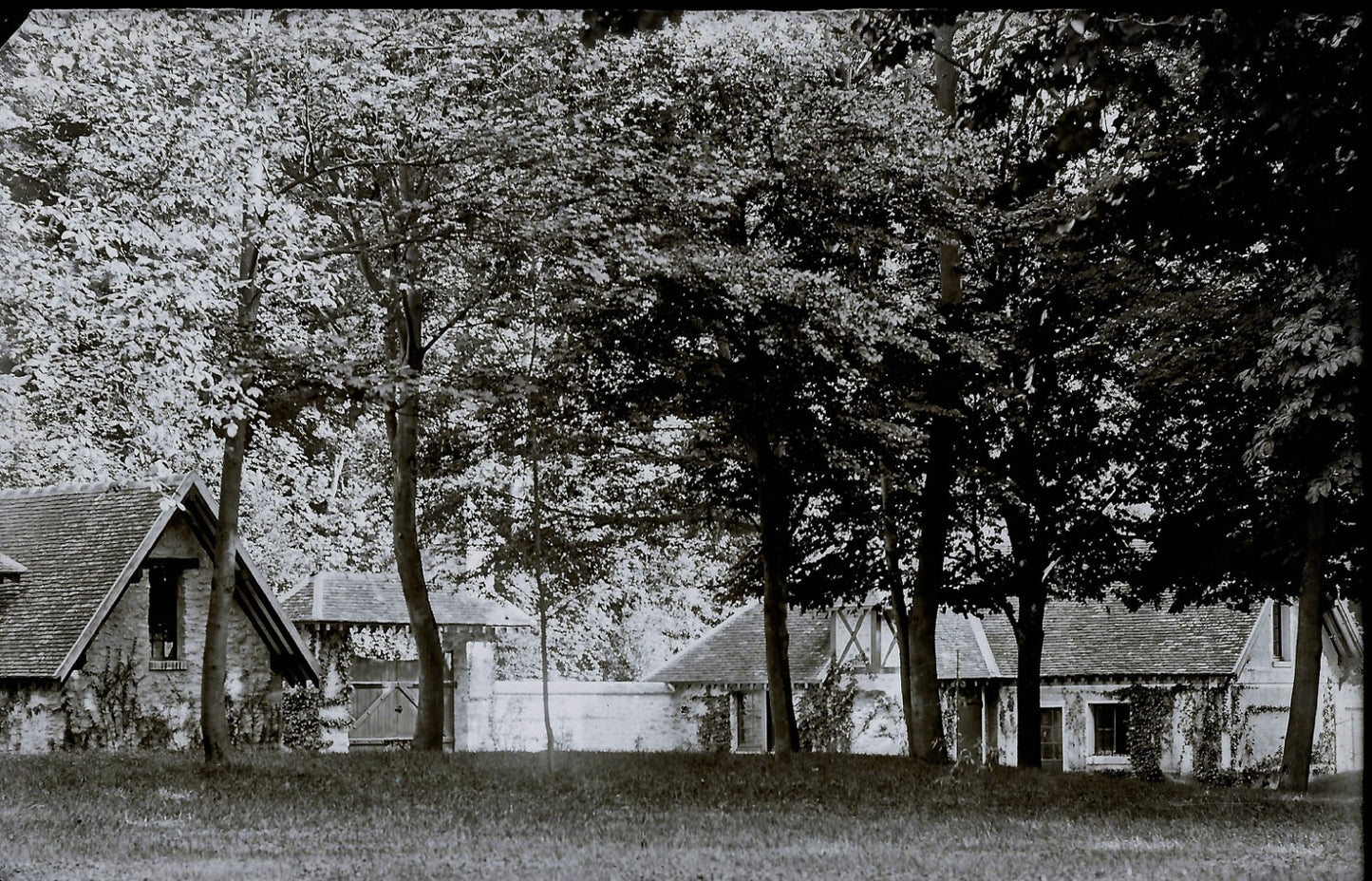 Plaque verre photo ancienne négatif 9x14 cm, noir et blanc château foret vintage