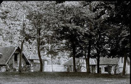 Plaque verre photo ancienne négatif 9x14 cm, noir et blanc château foret vintage