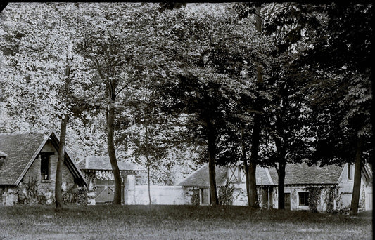 Plaque verre photo ancienne négatif 9x14 cm, noir et blanc château foret vintage