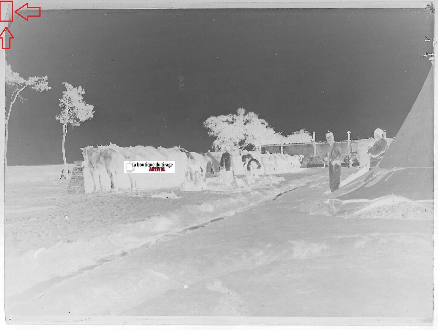 Camp militaire Meucon, Plaque verre photo ancienne, négatif noir & blanc 9x12 cm