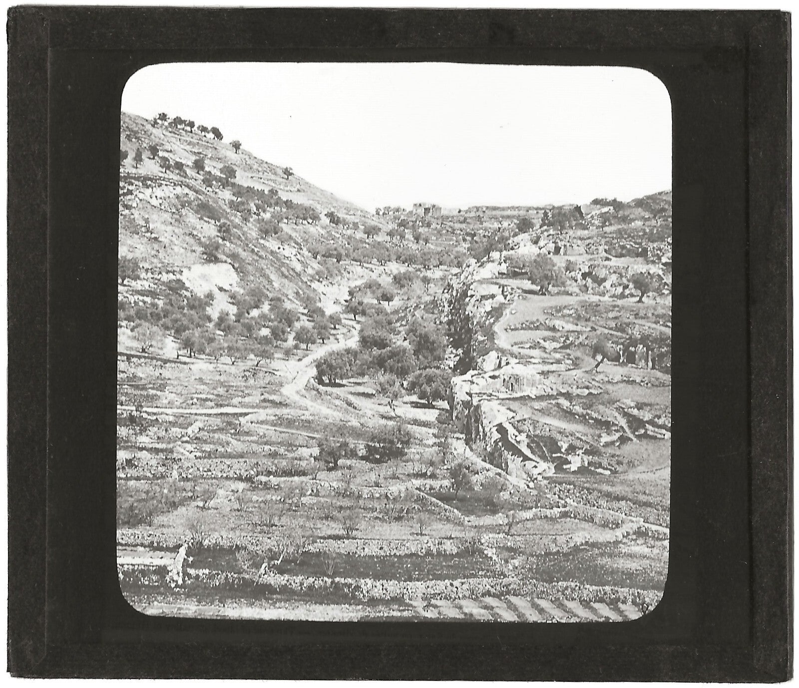 Champ du sang, Jerusalem, photo ancienne plaque de verre, positif 8,5x10 cm