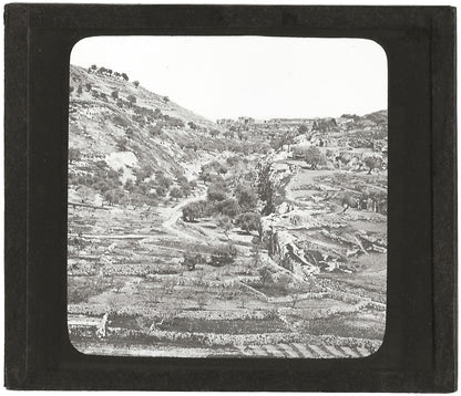 Champ du sang, Jerusalem, photo ancienne plaque de verre, positif 8,5x10 cm
