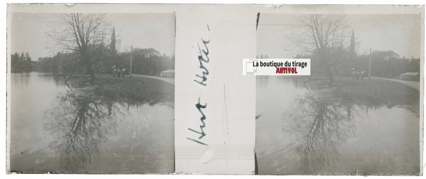 Voyage en Angleterre, Plaque verre stéréo, positif noir & blanc 4,5x10,7 cm