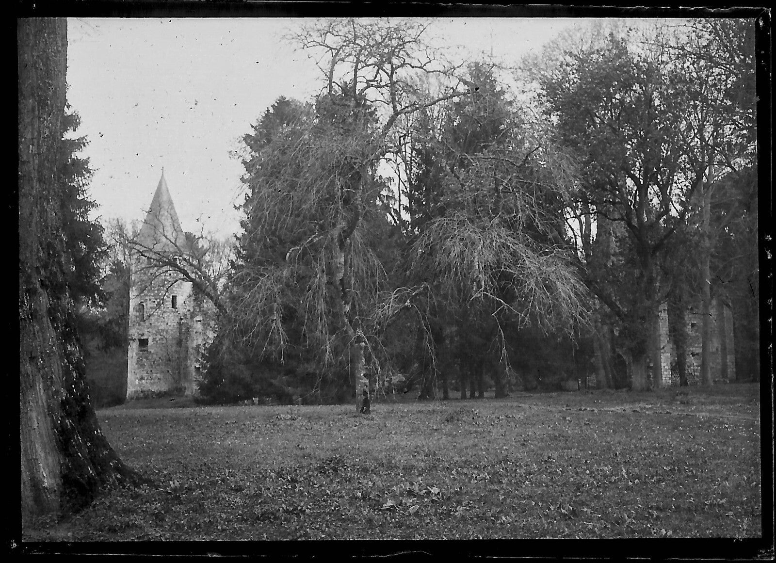 Plaque verre photo ancienne négatif noir et blanc 6x9 cm bois parc château 