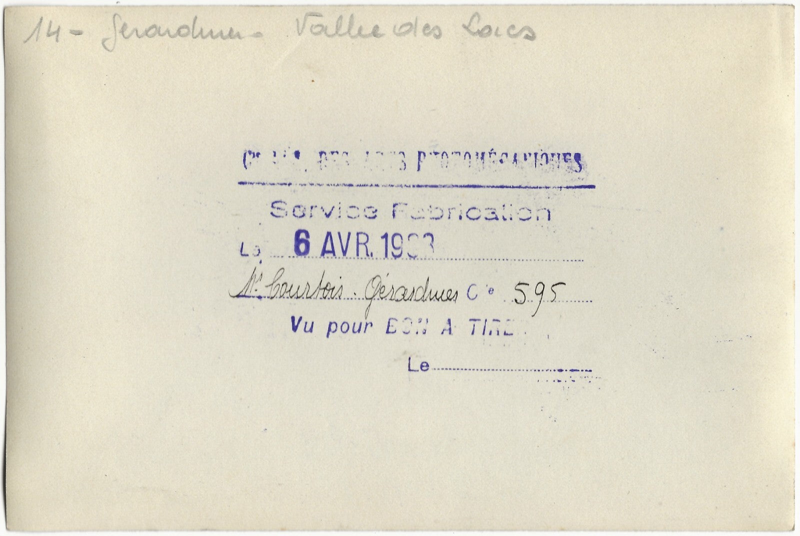 Plaque verre photo ancienne négatif noir et blanc 13x18 cm Gérardmer paysage