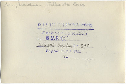 Plaque verre photo ancienne négatif noir et blanc 13x18 cm Gérardmer paysage