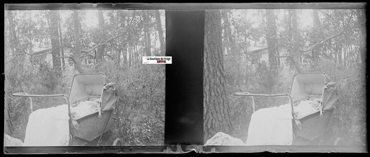 Vintage stereoscopic glass negative of a baby pram in a forest setting, early 20th century, black and white photograph.