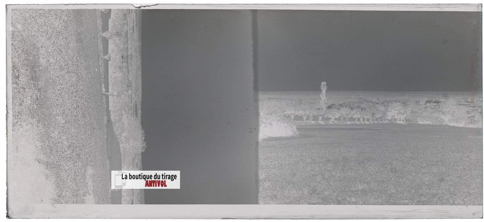 Champs, paysage France, plaque verre, photo ancienne, négatif N&B 6x13 cm