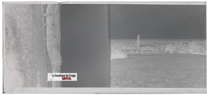 Champs, paysage France, plaque verre, photo ancienne, négatif N&B 6x13 cm