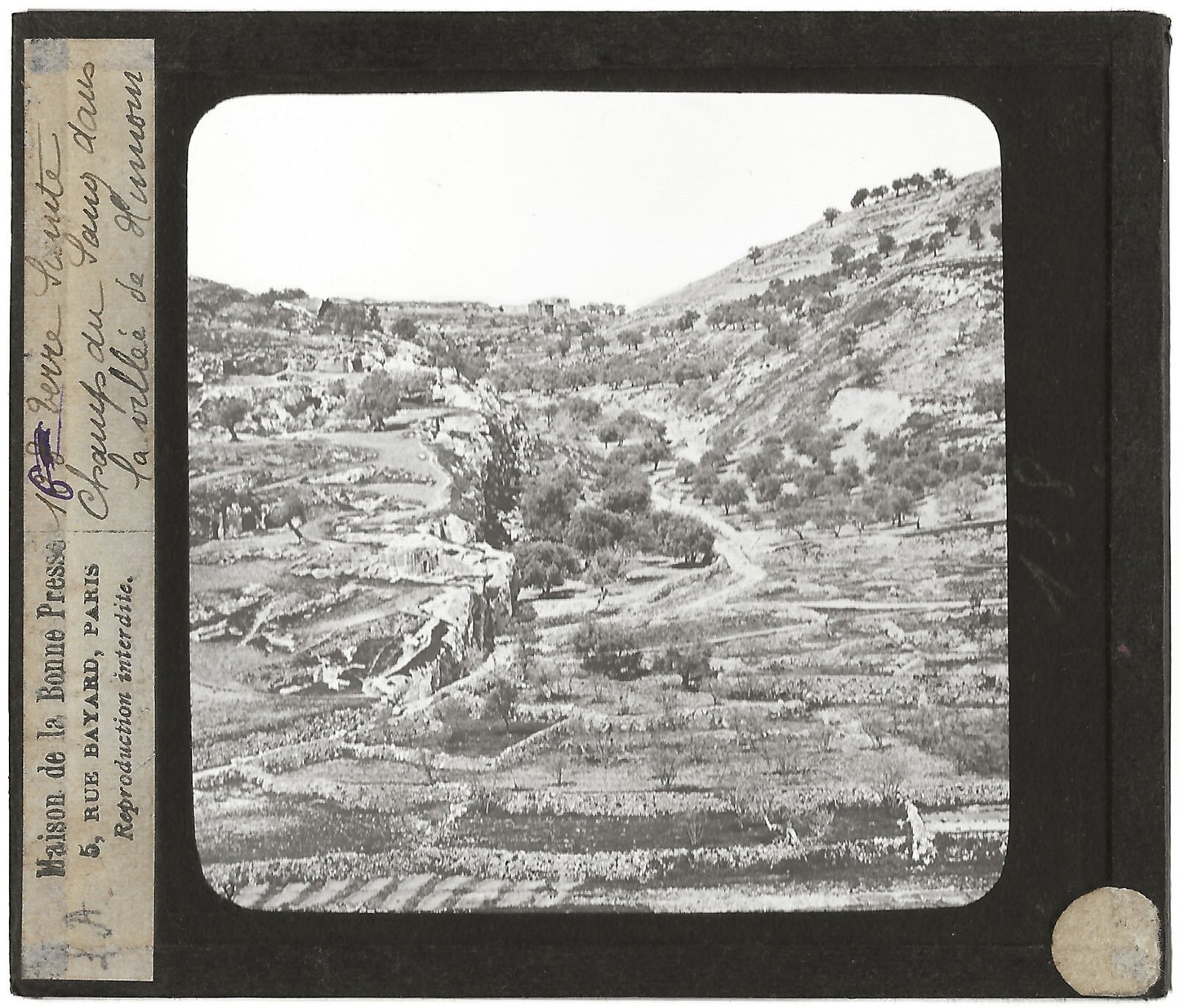 Champ du sang, Jerusalem, photo ancienne plaque de verre, positif 8,5x10 cm