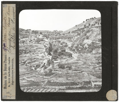 Champ du sang, Jerusalem, photo ancienne plaque de verre, positif 8,5x10 cm