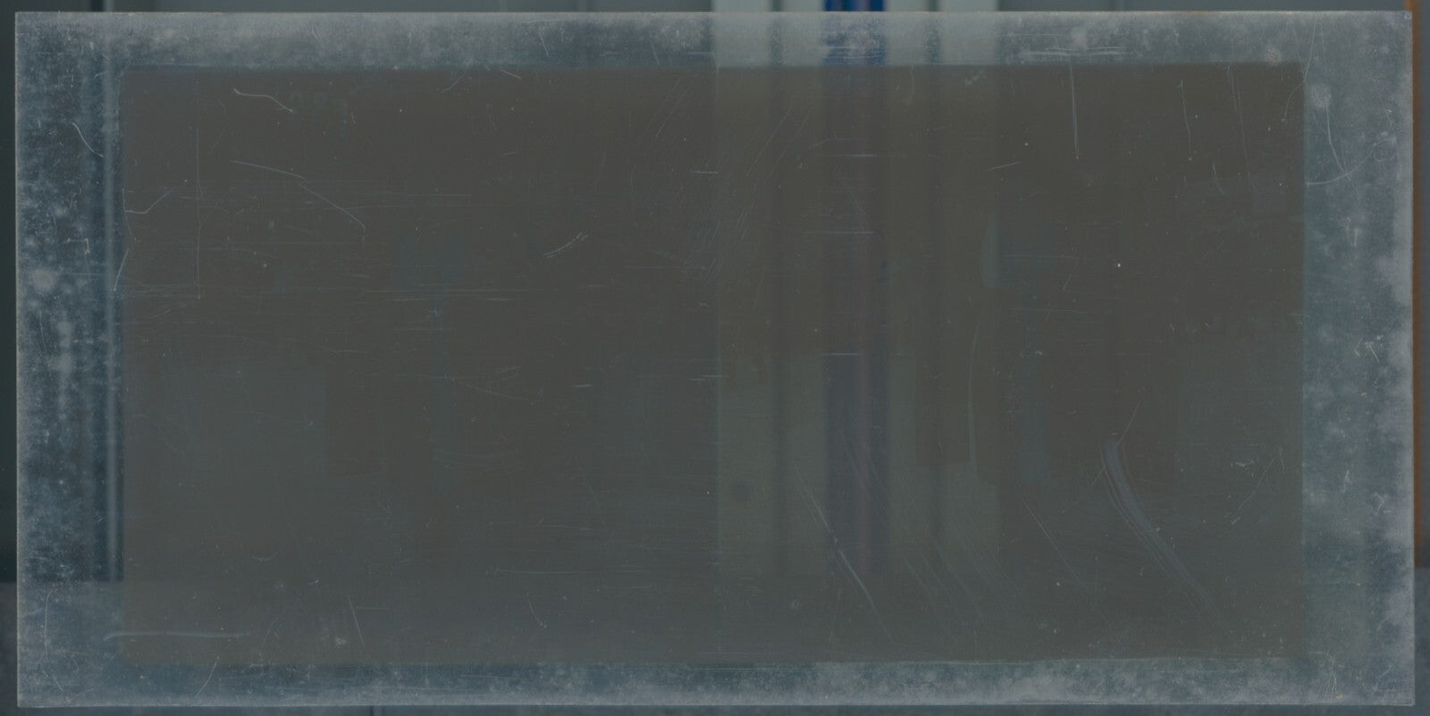 Scène de vie, Longchamp, Paris, plaque verre stéréoscopique, positif 8,5x17 cm