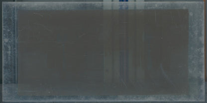 Scène de vie, Longchamp, Paris, plaque verre stéréoscopique, positif 8,5x17 cm